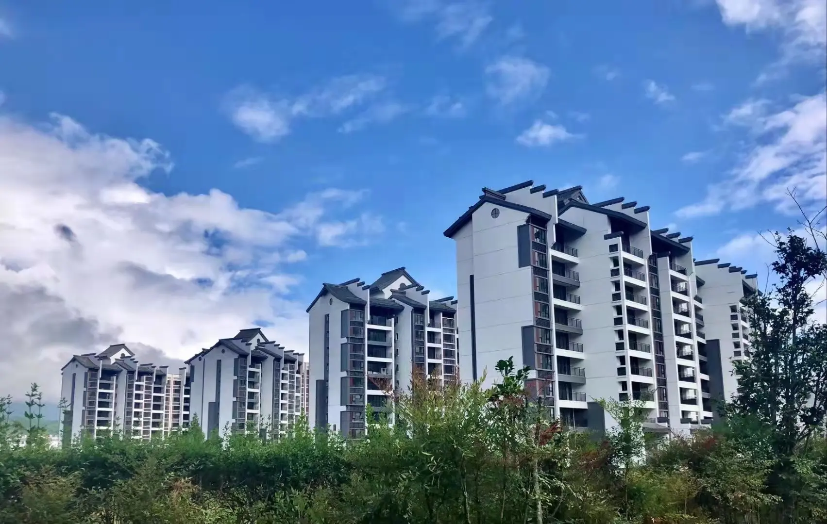 微信图片_2021111414472813.jpg 微信图片_2021111414472813.jpg