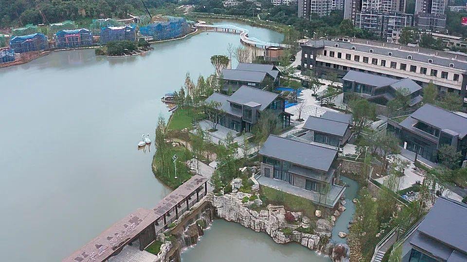 2000年重庆白云湖事件图片