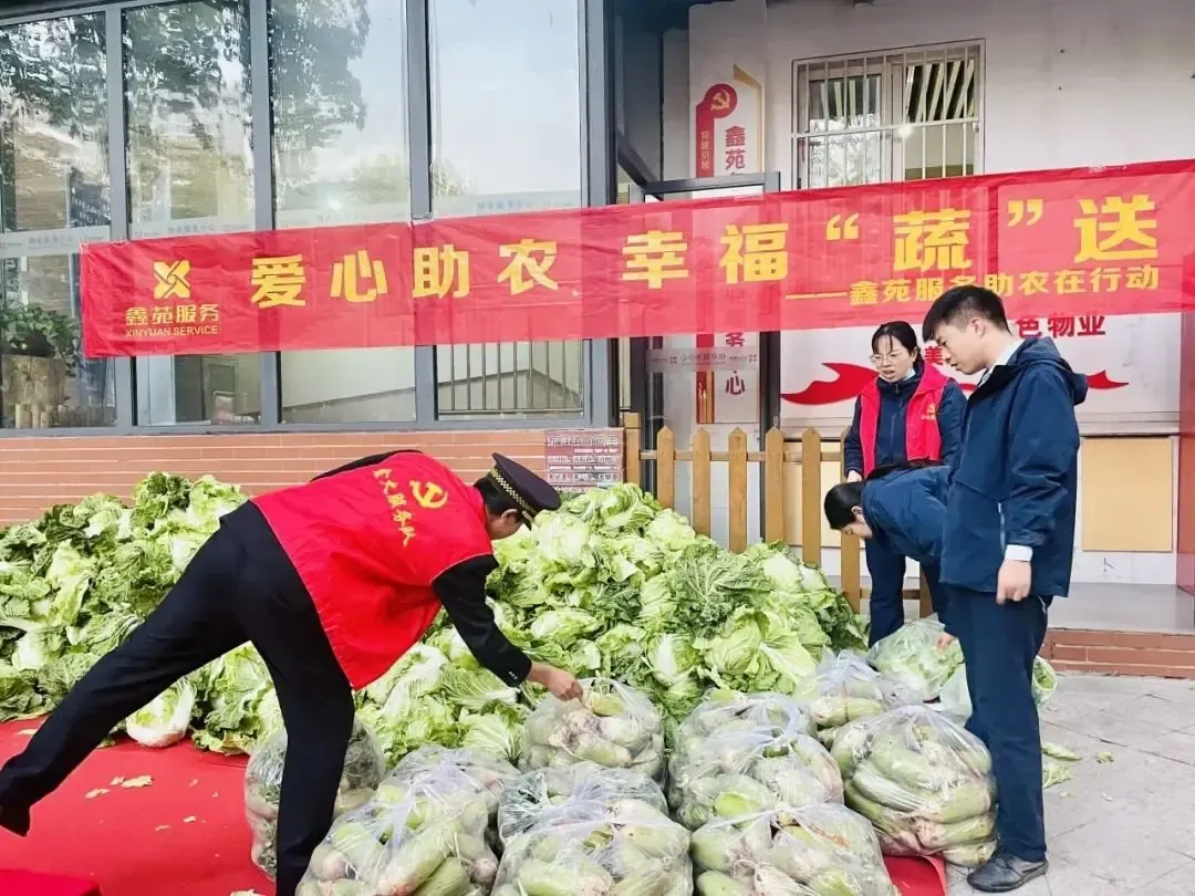 爱心助农让20万斤滞销菜变暖心菜