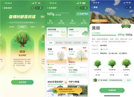 箭牌泽计划」持续推进，见证箭牌公益林项目再延续