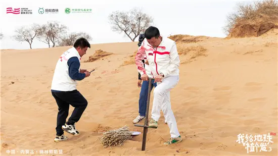 箭牌泽计划」持续推进，见证箭牌公益林项目再延续
