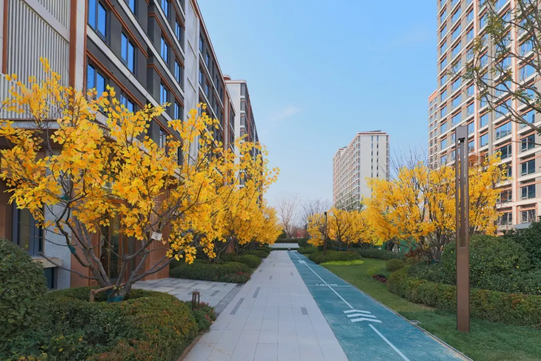 为什么石景山人偏爱苹果园？