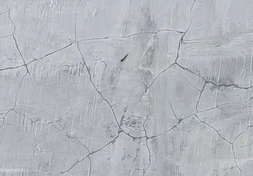 渗漏外墙逆袭记！「红橡胶」立大功