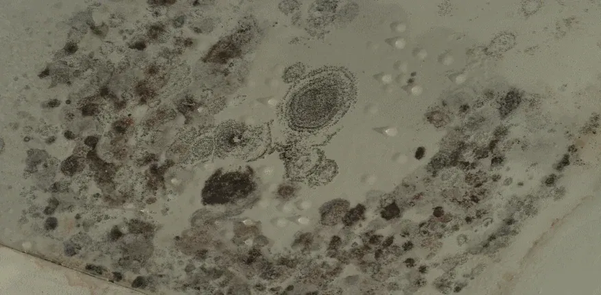 来自屋面的「告白信」