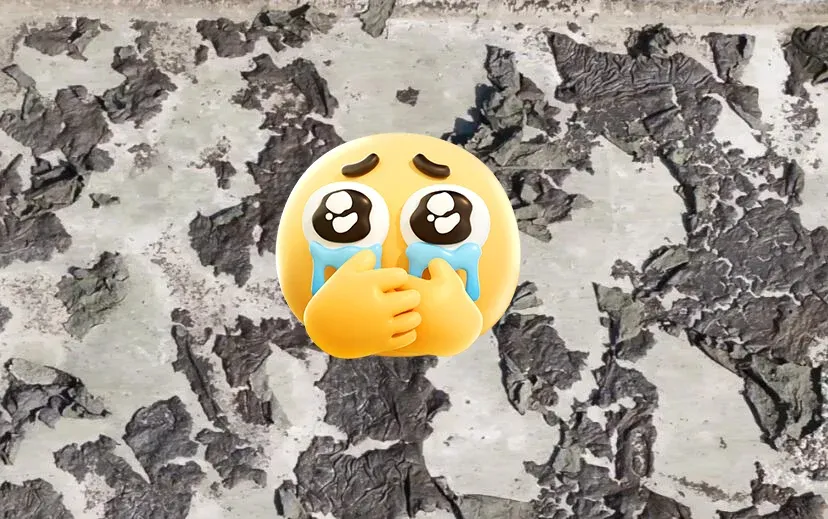 来自屋面的「告白信」