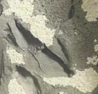 听劝，可别再这样用背胶了！