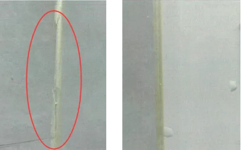 又这么做？难怪阴角处的美缝变白！