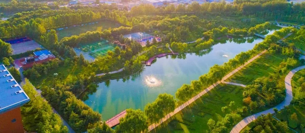 泾渭运动中心公园实景图