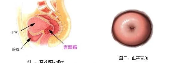 83c9bc99-5c7c-4747-a4d9-5f0387714ea3.jpg