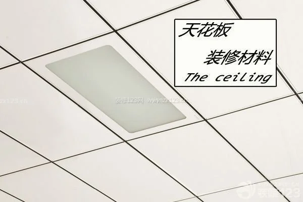 6cad6104-90ae-427d-979a-fe9c8334a0f3.jpg