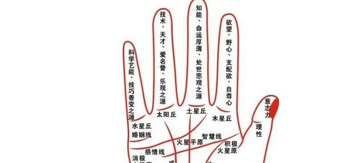 516b2a31-b640-4b81-a7a0-3a19cddfa764.jpg