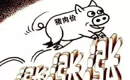 政府一纸命令猪肉开始降价了春节能吃起肉成铁板钉钉了