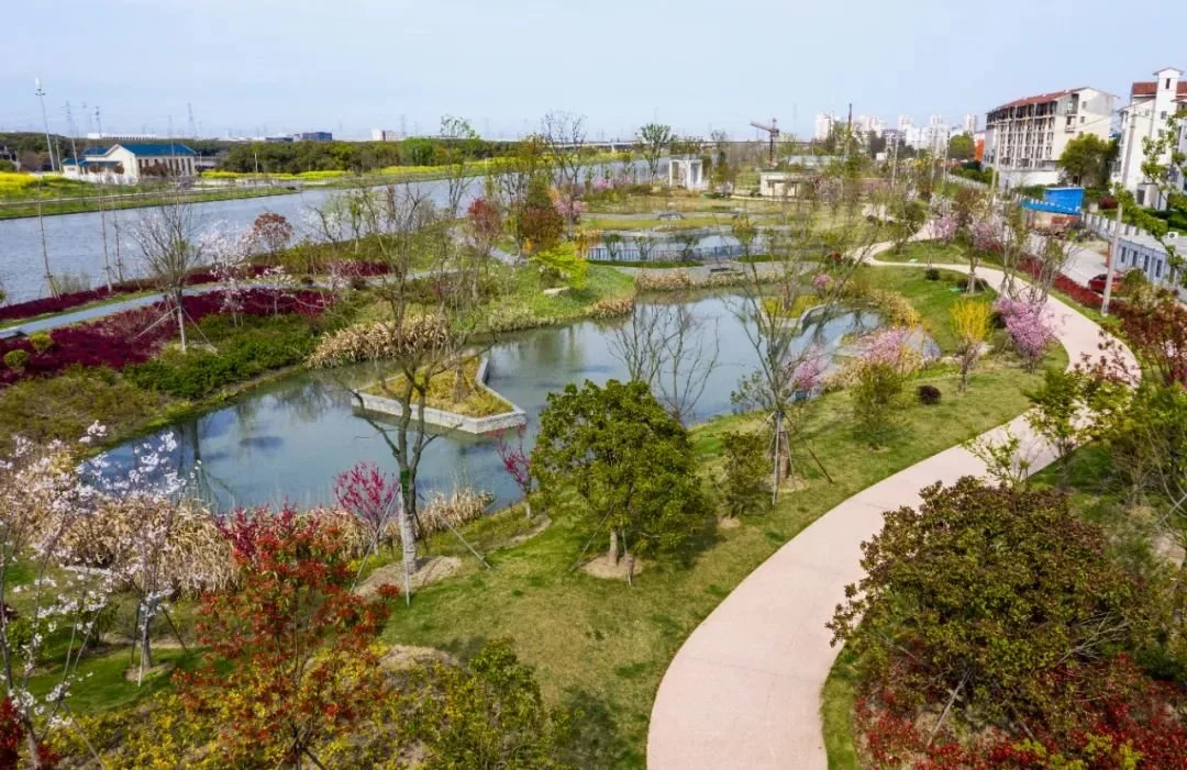 杨林塘生态廊道建设内容包括绿化种植,景观道路,售卖亭等,生态修复