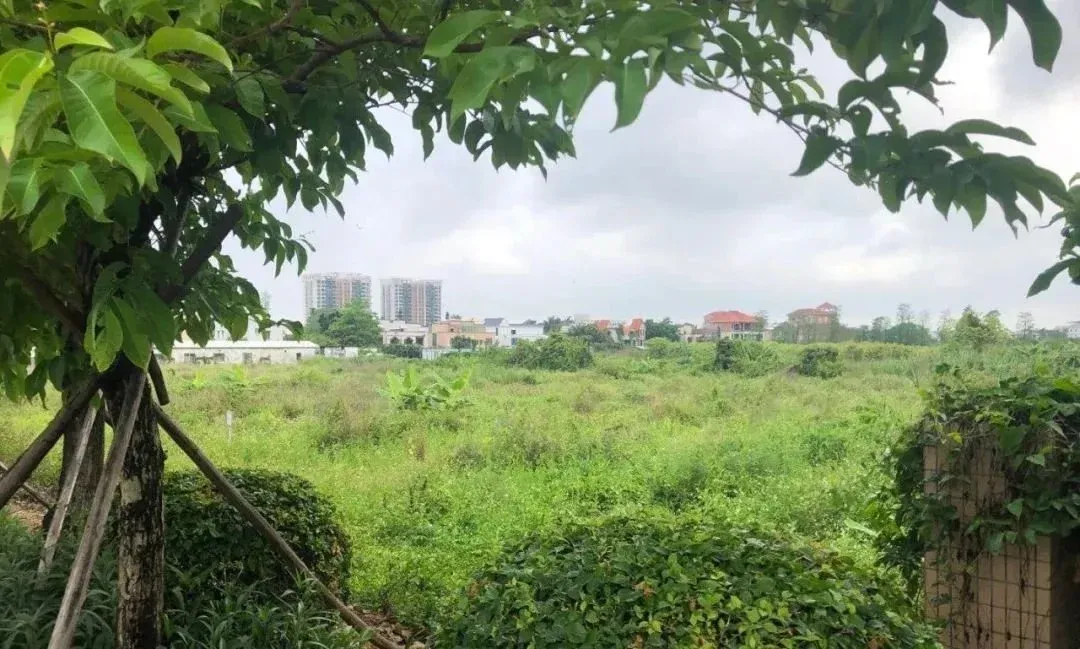 湖心路又有地了鳄鱼岛旁增9万㎡零售商业二类居住用地