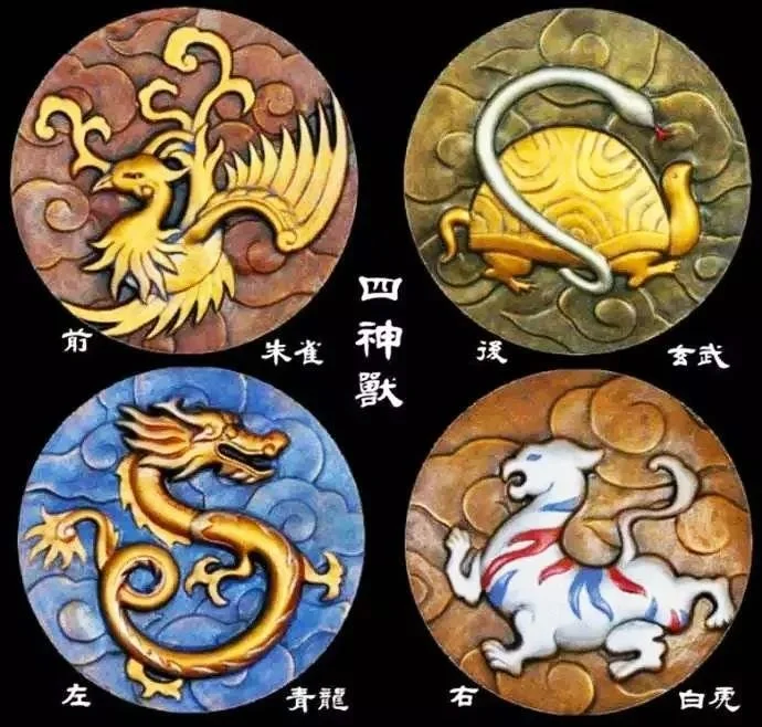 养宠物有讲究这五大镇宅安宅的灵性动物可以提升运势和兴家旺财