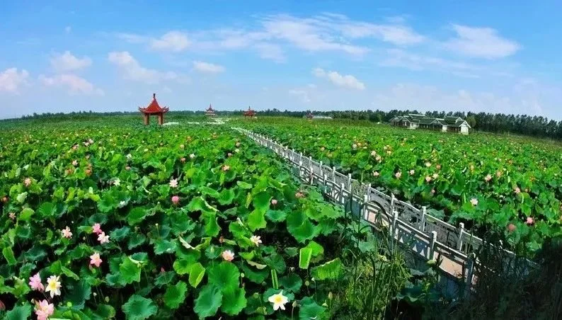 洪澤湖古堰景區—這裡是淮安歷史文化名城的核心歷史街區,也是京杭