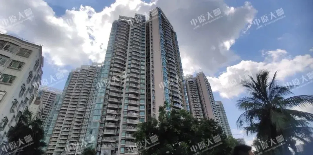 大金沙旧改最新动态来了!(附实探)