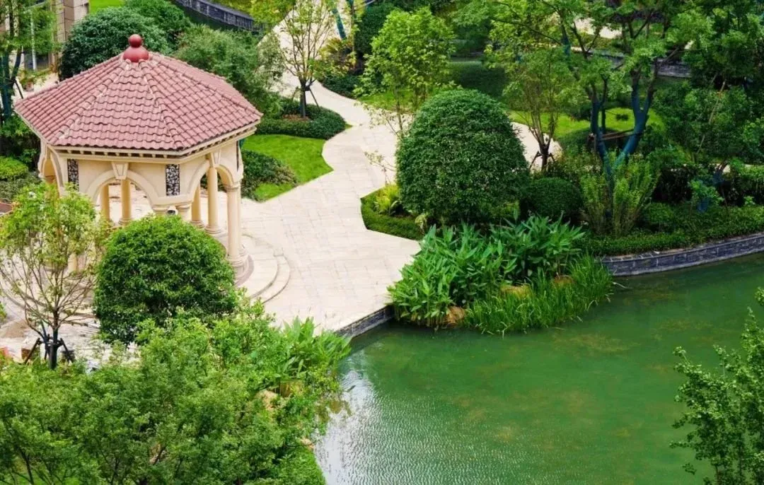 怡康小学与新五中直线距离仅约190m恒大悦澜庭自建12班幼儿园△实景图