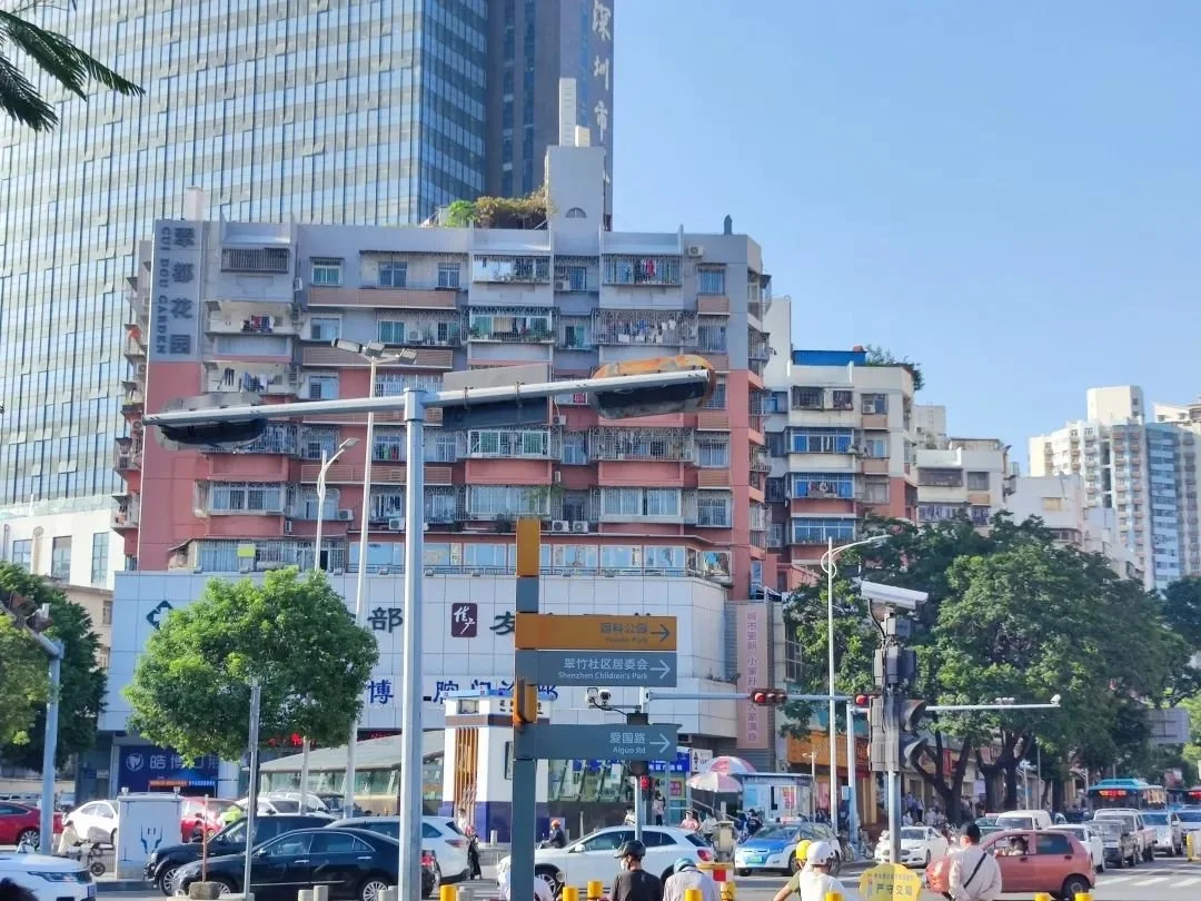 深圳木头龙图片