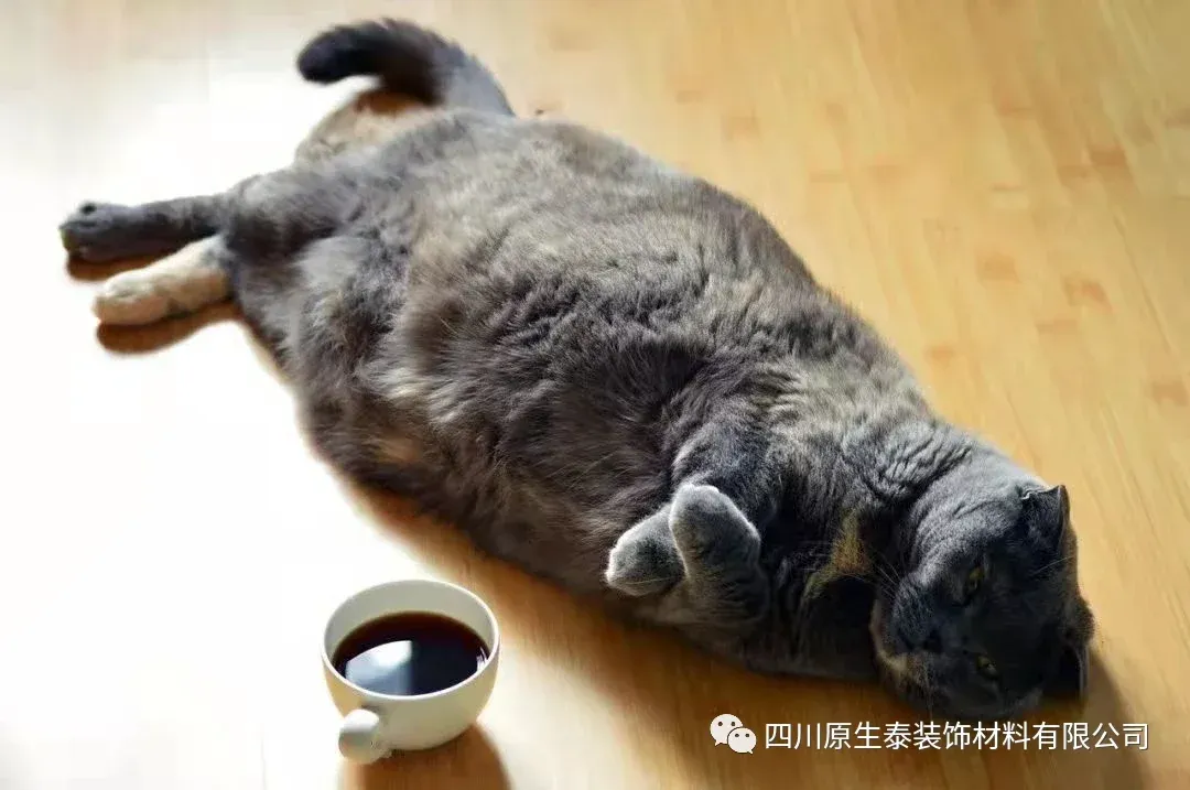 房价