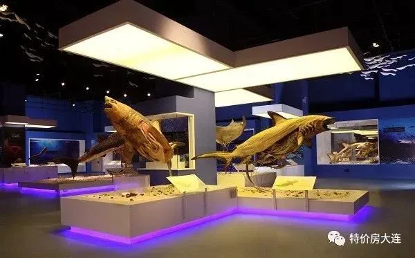 主题3:博物馆奇妙夜10.