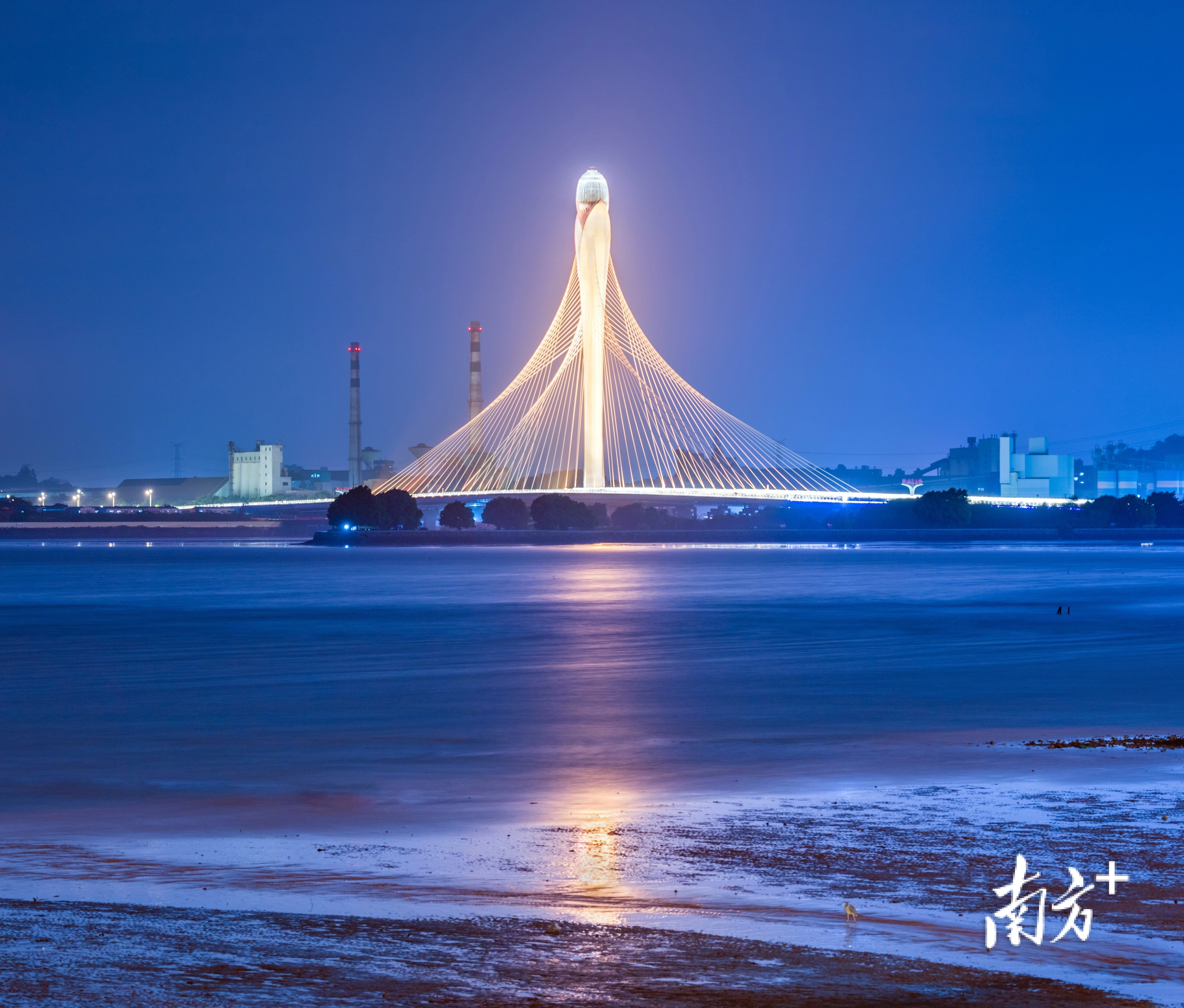 一起解锁滨海湾大桥的日与夜