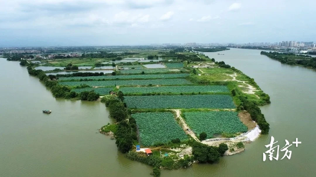 出口北美增城石滩莲通乡村振兴路