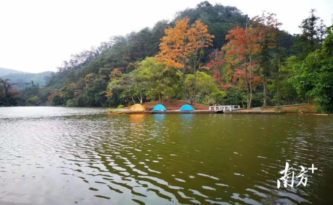 韶关翁源：筑牢生态屏障，打造绿色发展新高地-房产资讯-房天下