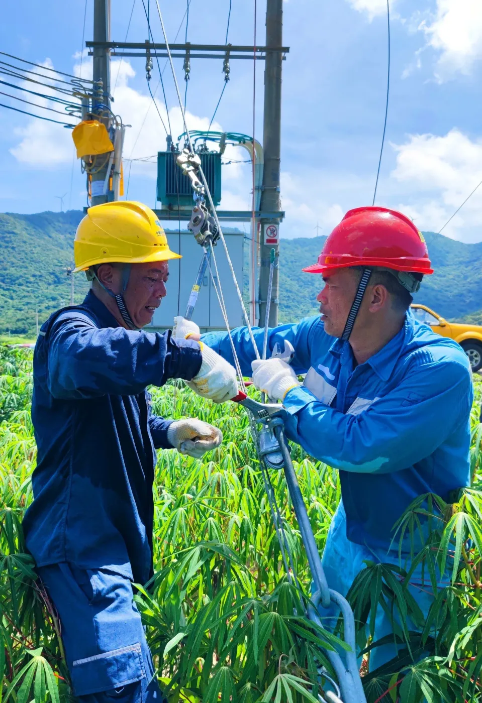 许湘粤【图片】江门供电局提供【作者】 叶芷晴【来源】 南方报业传媒