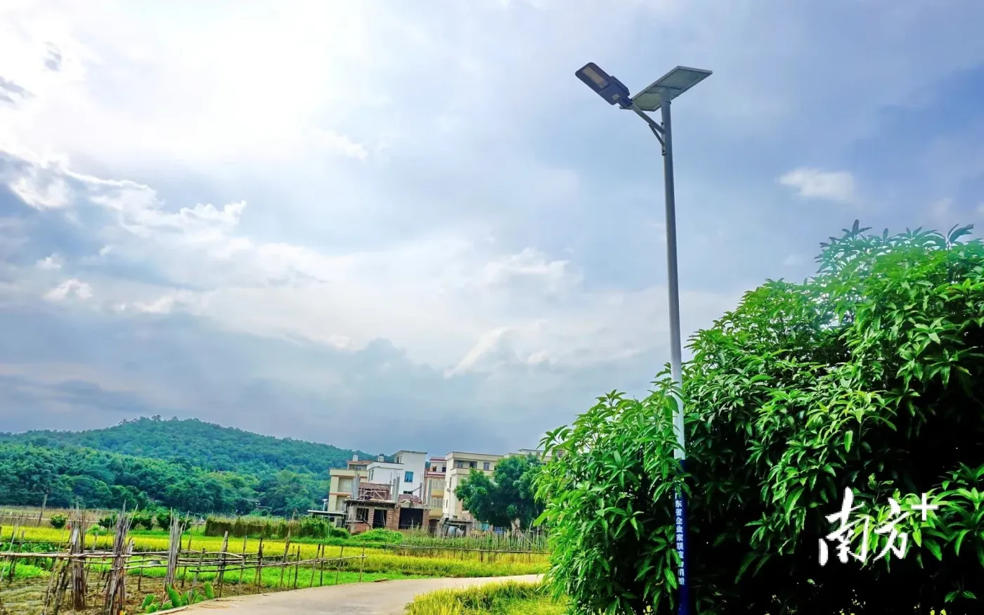 郁南乡村72盏路灯亮起来