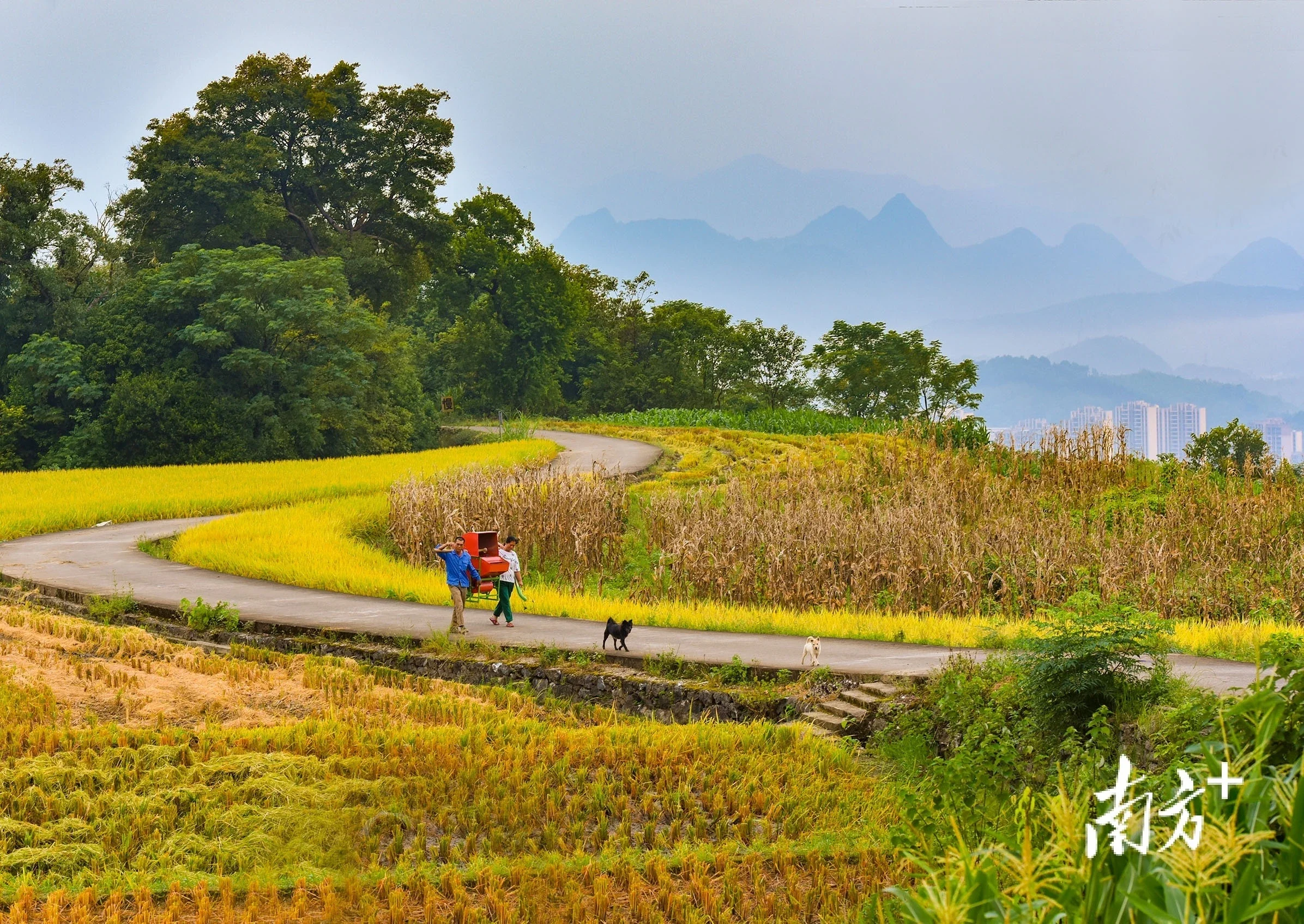 大坪鎮屬粵北少數民族山區鎮,九山半水半分田,山多平地少,勤勞的瑤族