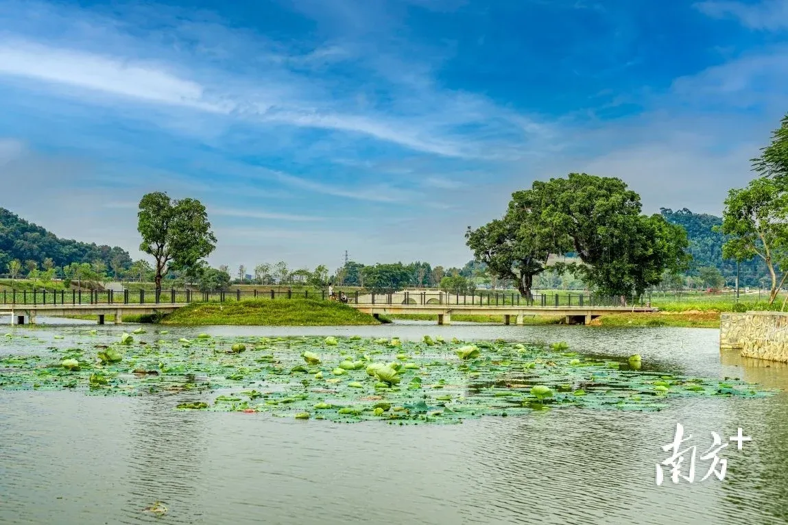 假期余额不足快来打卡东坑这片山水新天地