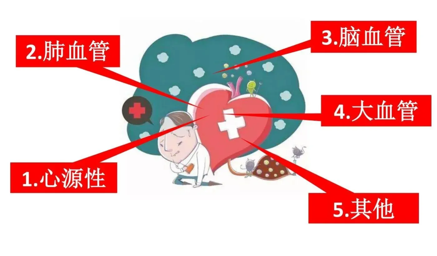 “一向身体很棒”的人,为什么会运动性猝死?突然“掉线”的雷区了解一下-房产资讯-房天下