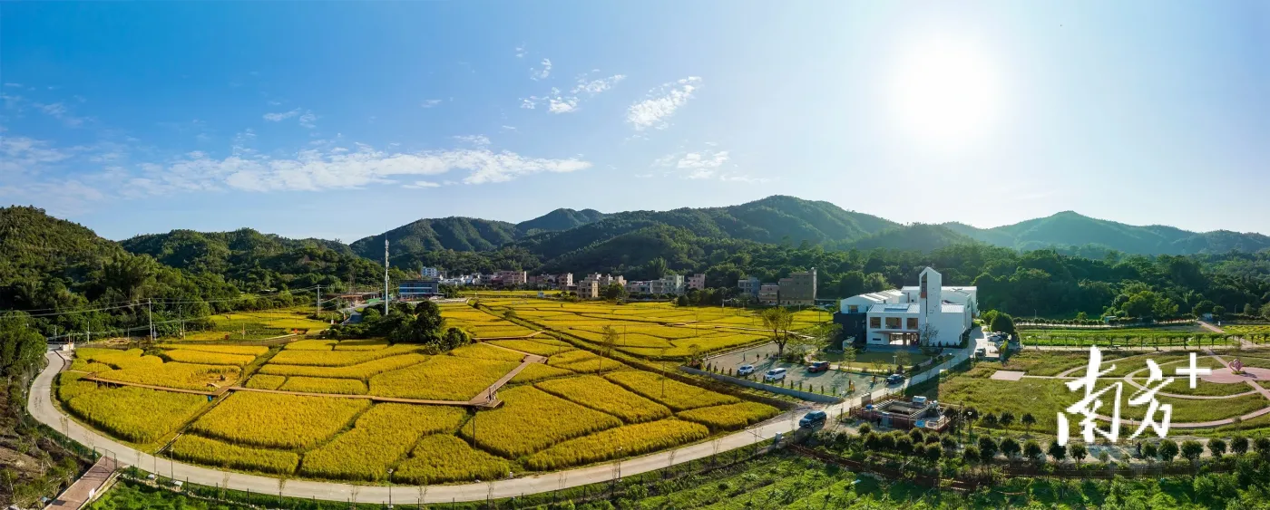 非凡十年·广东答卷|惠州惠阳:加速融深融湾 迈向"智造高地"