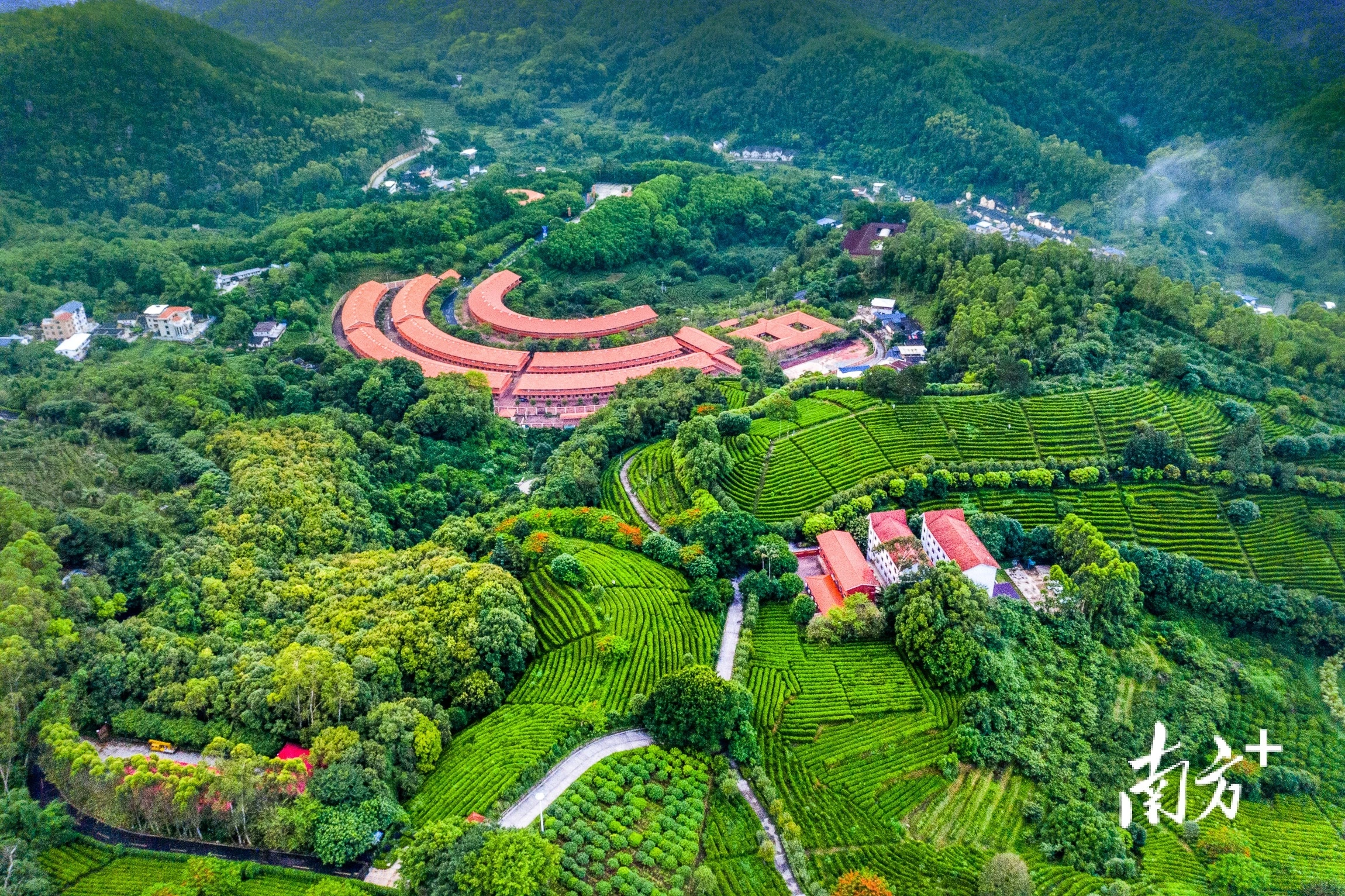 区雁洋镇长教村,是国家5a级旅游景区,茶田是雁南飞一道不可不赏的景致