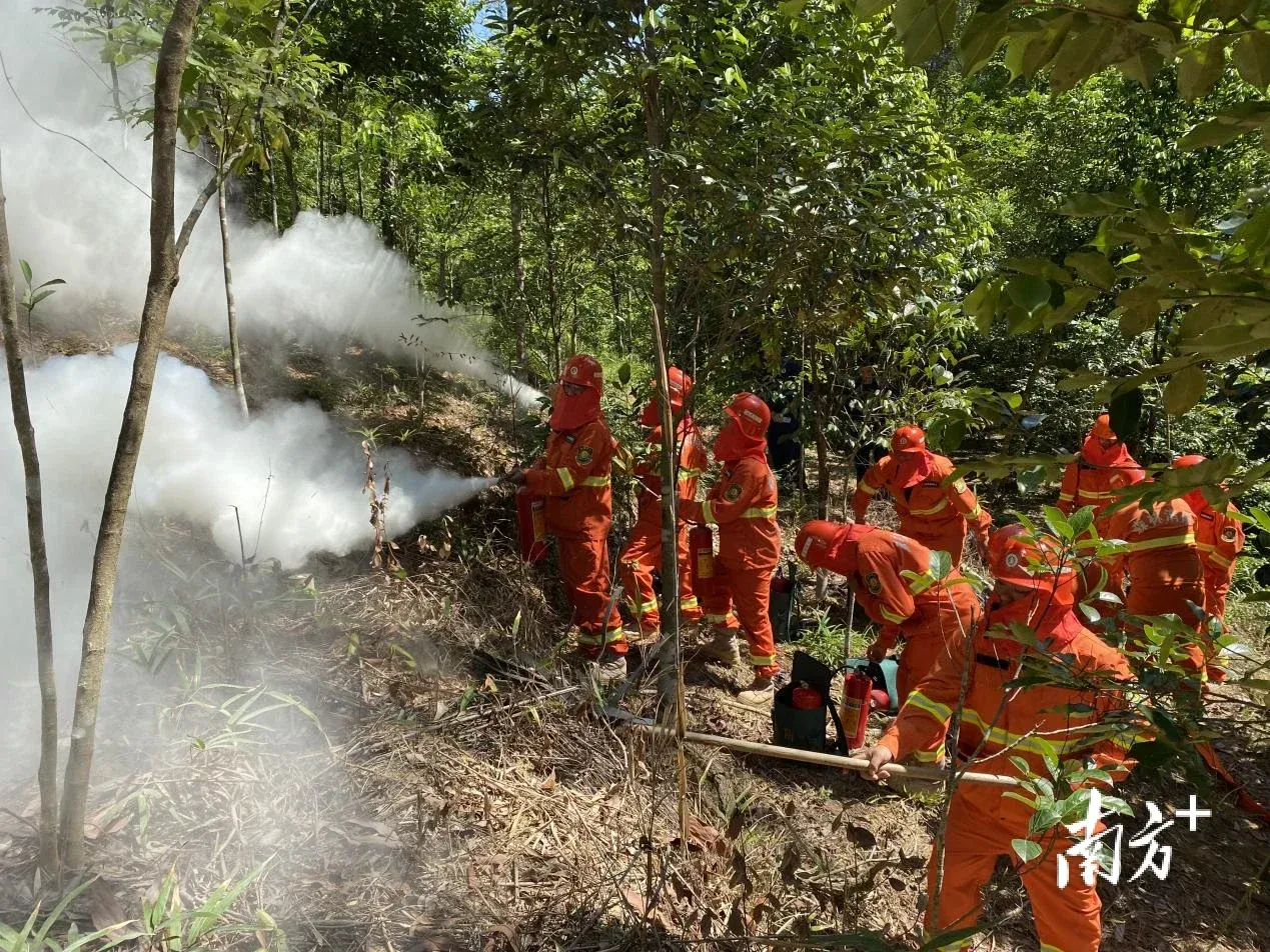 中山三乡开展半专业森林扑火队伍应急演练_房产资讯_房天下