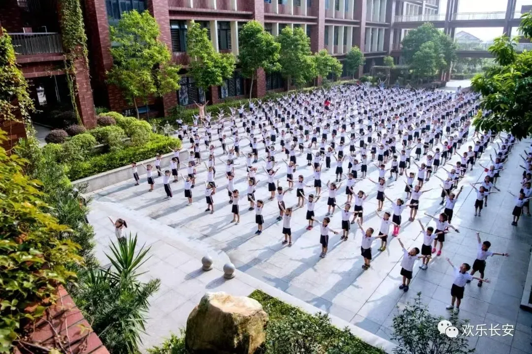 提供超5000个公办学位,投资近12亿元,长安镇靖海学校开工_房产资讯_房