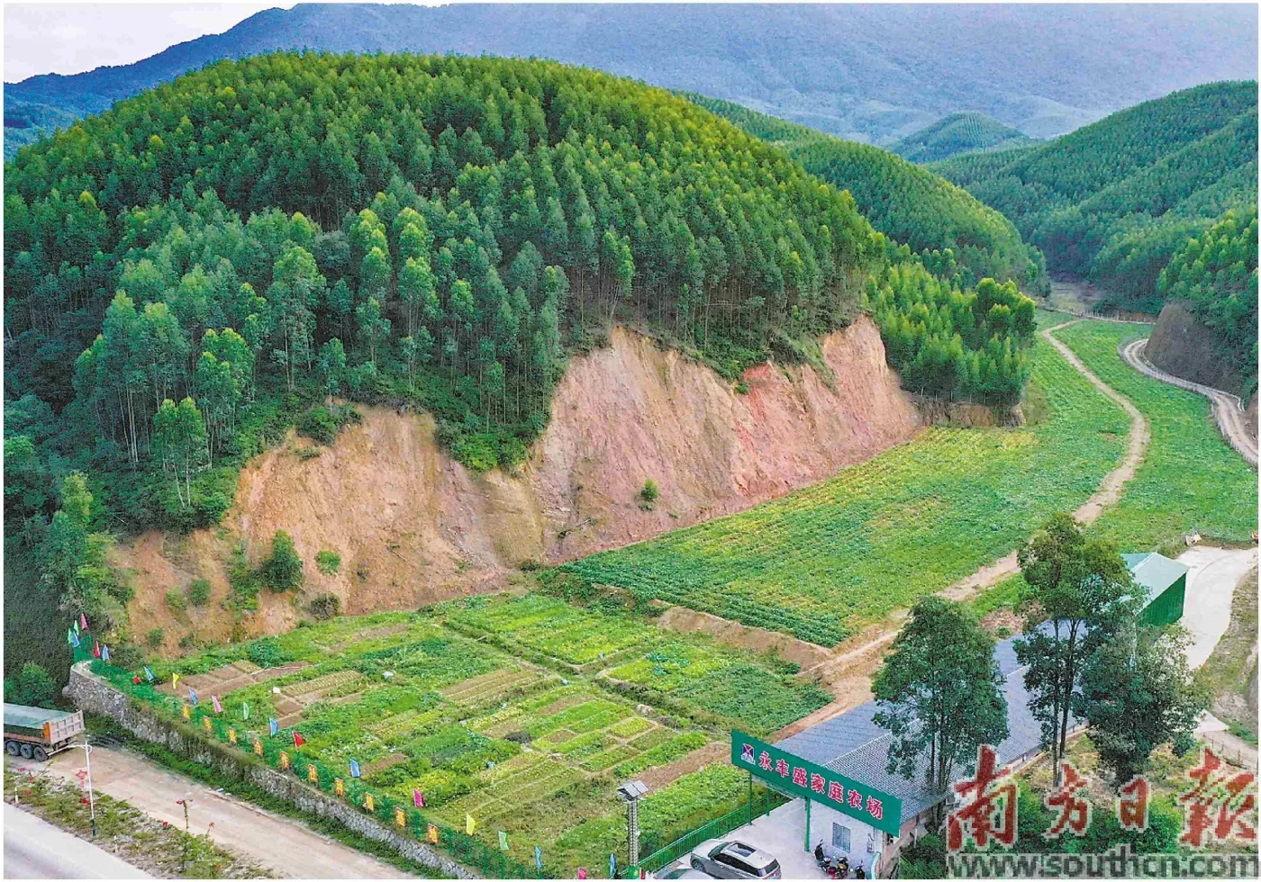 650亩撂荒地现“薯”光-房产资讯-房天下