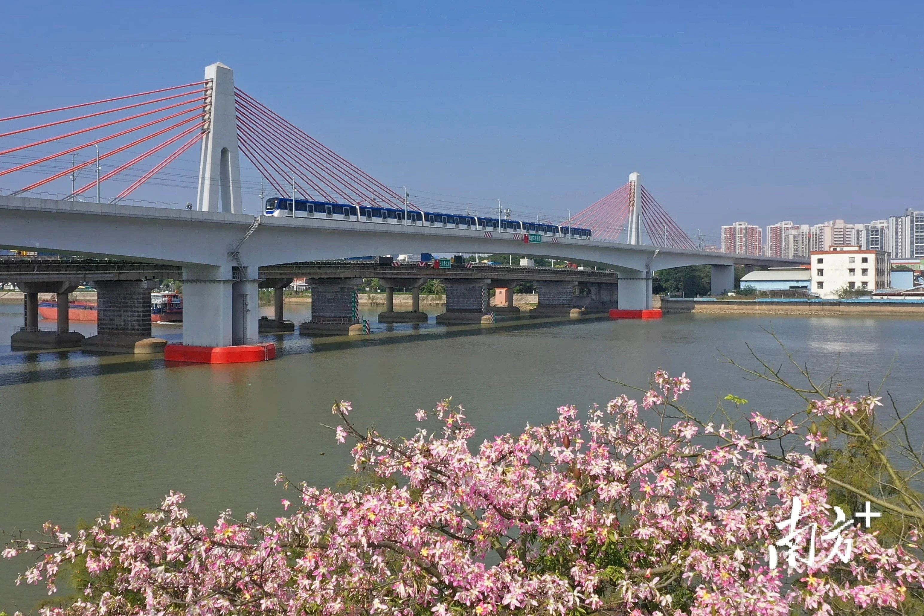 顺峰时评干起来跑起来大良热火朝天的景象回来了