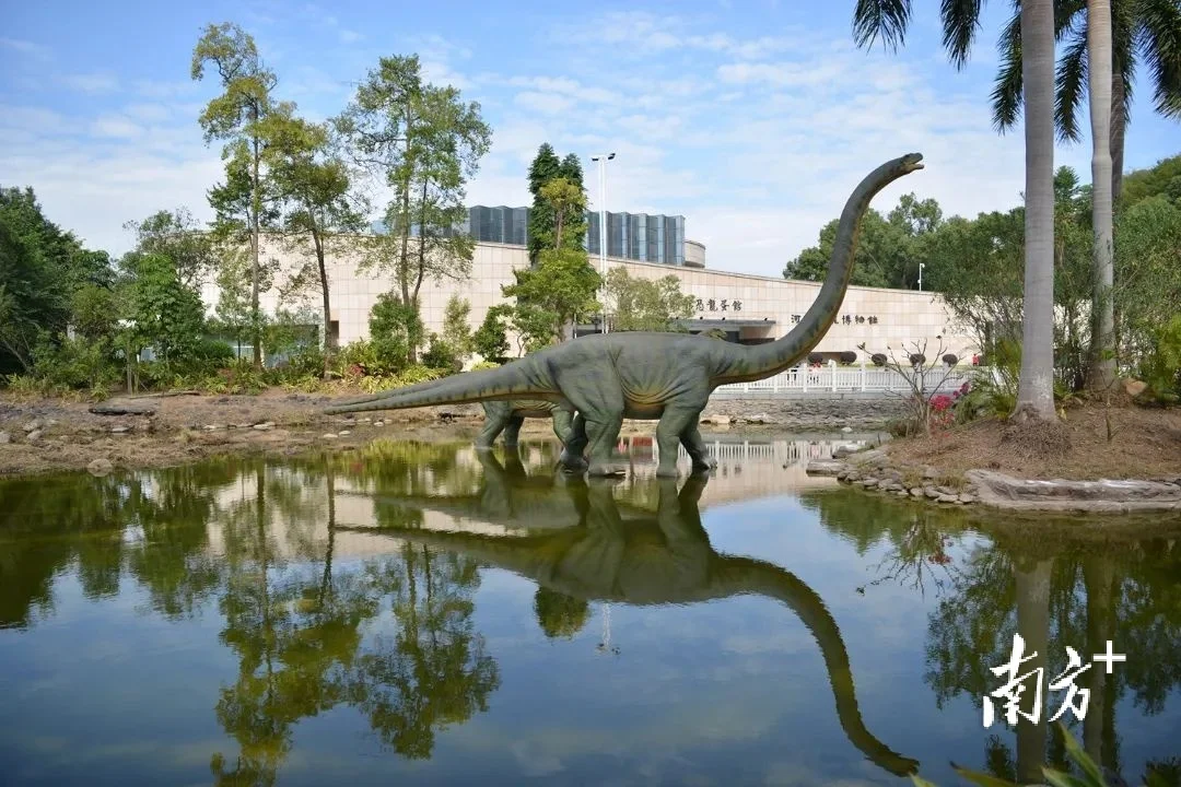 是河源市重要的文化旅遊休閒景點和城市名片,是展示河源恐龍文化和