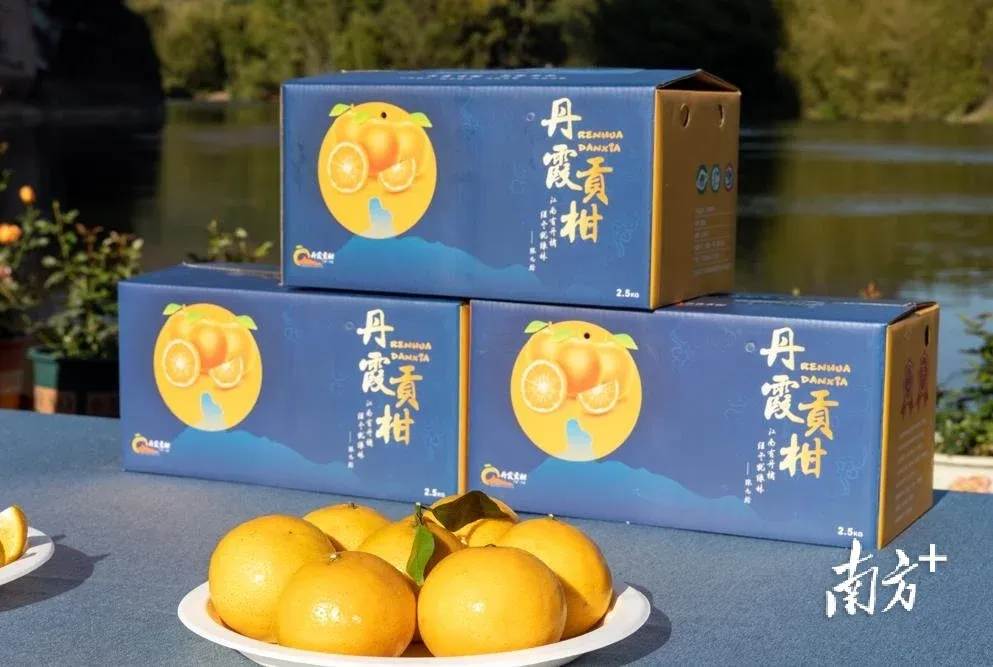 韶关仁化举办丹霞贡柑地理标志农产品保护工程项目品牌发布会