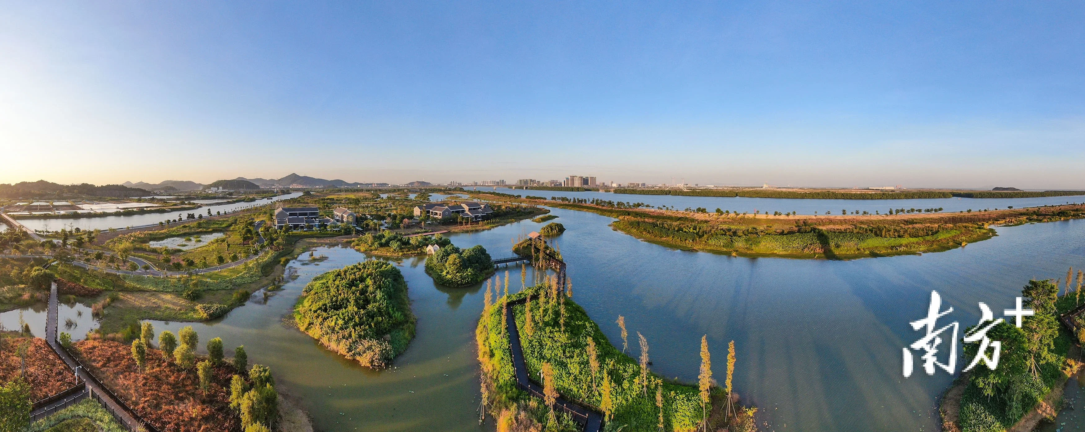 中山板芙滨江湿地公园图片