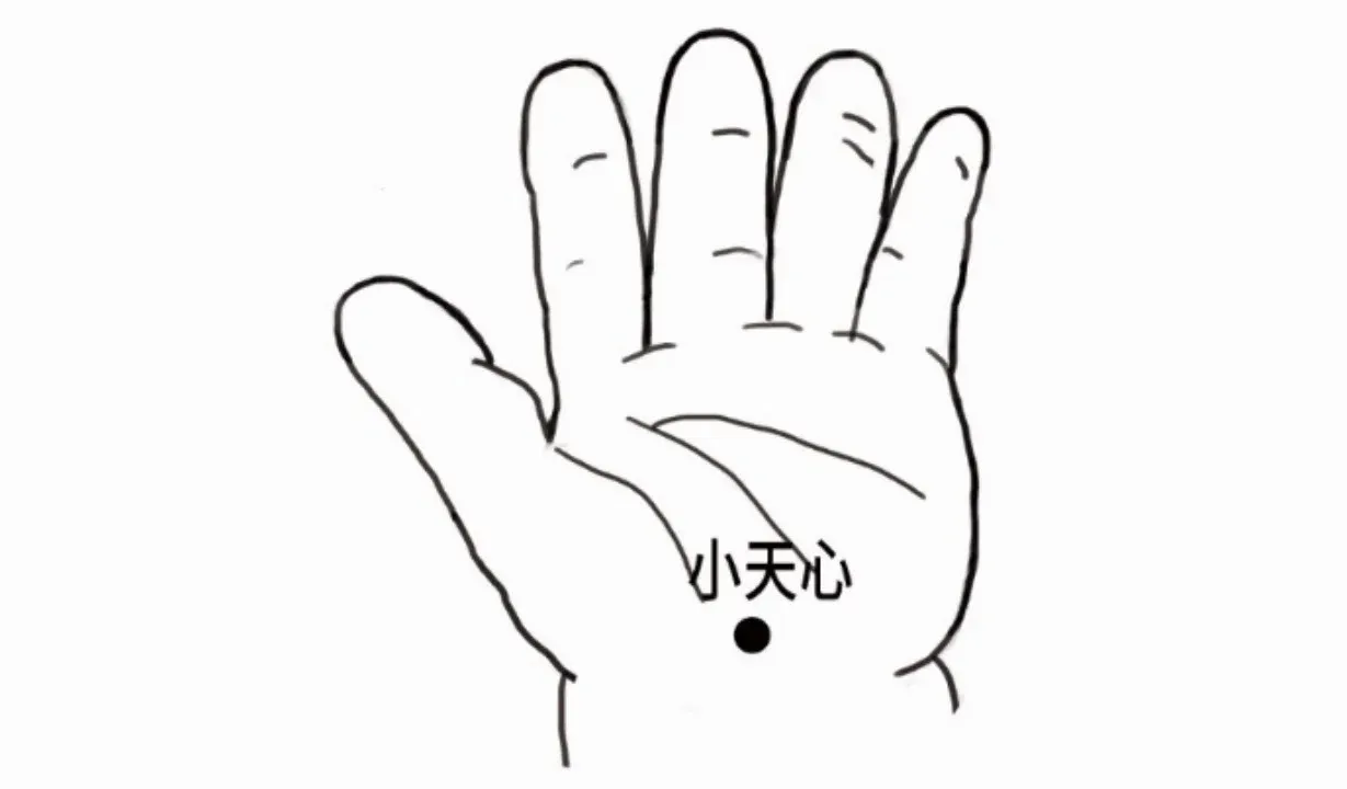 6.揉小天心5.掐少商4.揉耳后高骨3.运太阳2.推坎宫1.