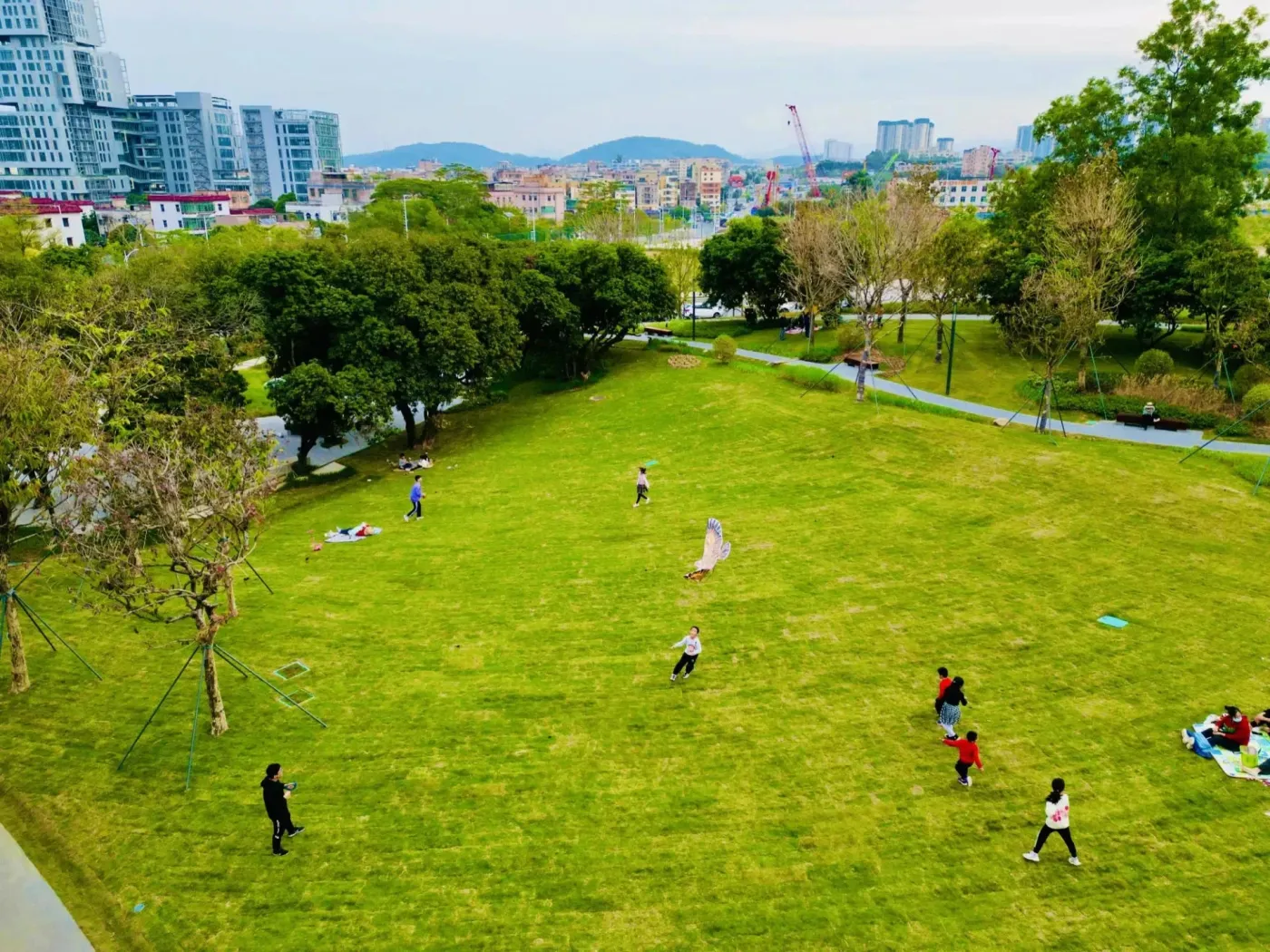 乐队弹唱,绿道健身,手冲咖啡体验……一批龙岗区公园新春活动来了
