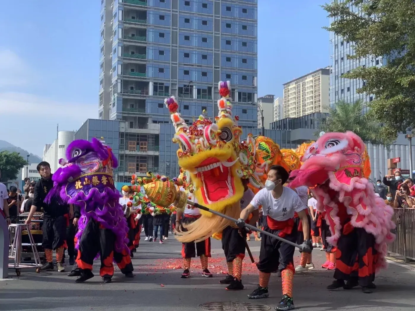 龙腾狮跃喜气扬!珠海南屏镇醒狮迎新春_房产资讯_房天下
