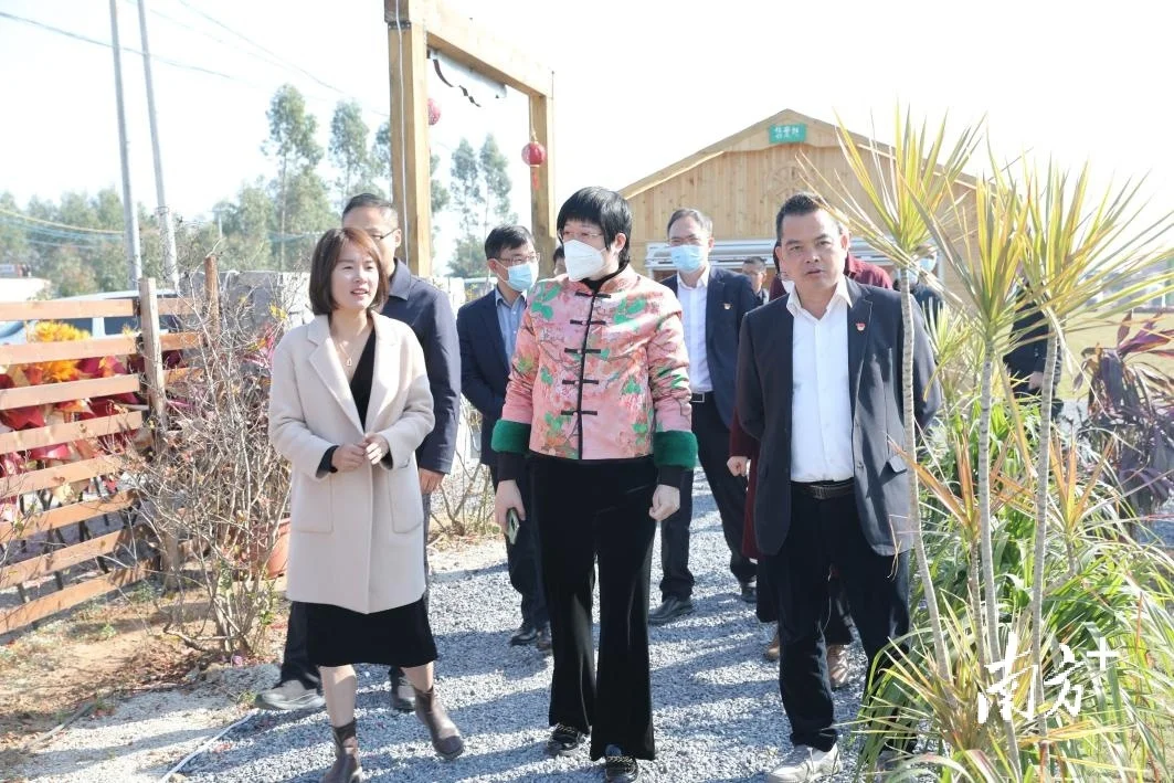 湛江市直机关工委书记黄真窦率队到廉江市横山镇调研乡村振兴工作