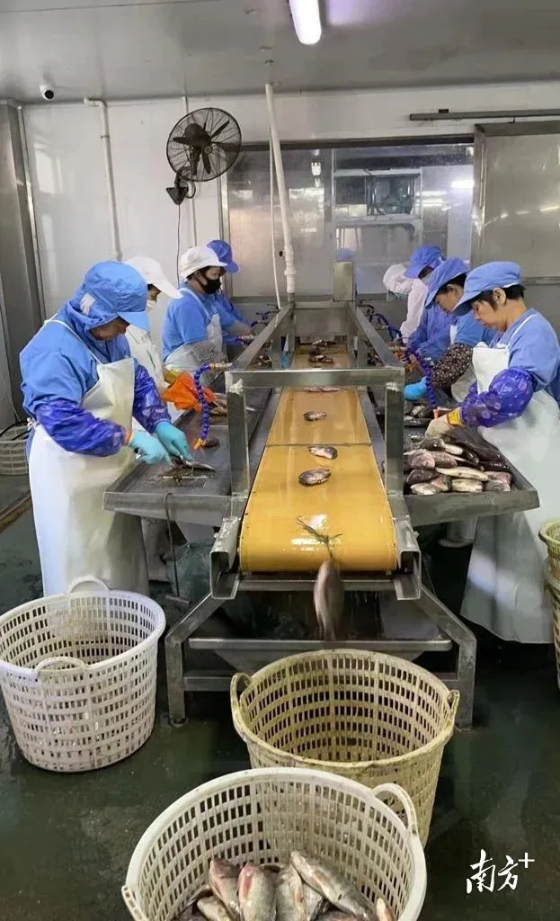 潮州:“春风”暖企赋能经济高质量发展-房产资讯-房天下