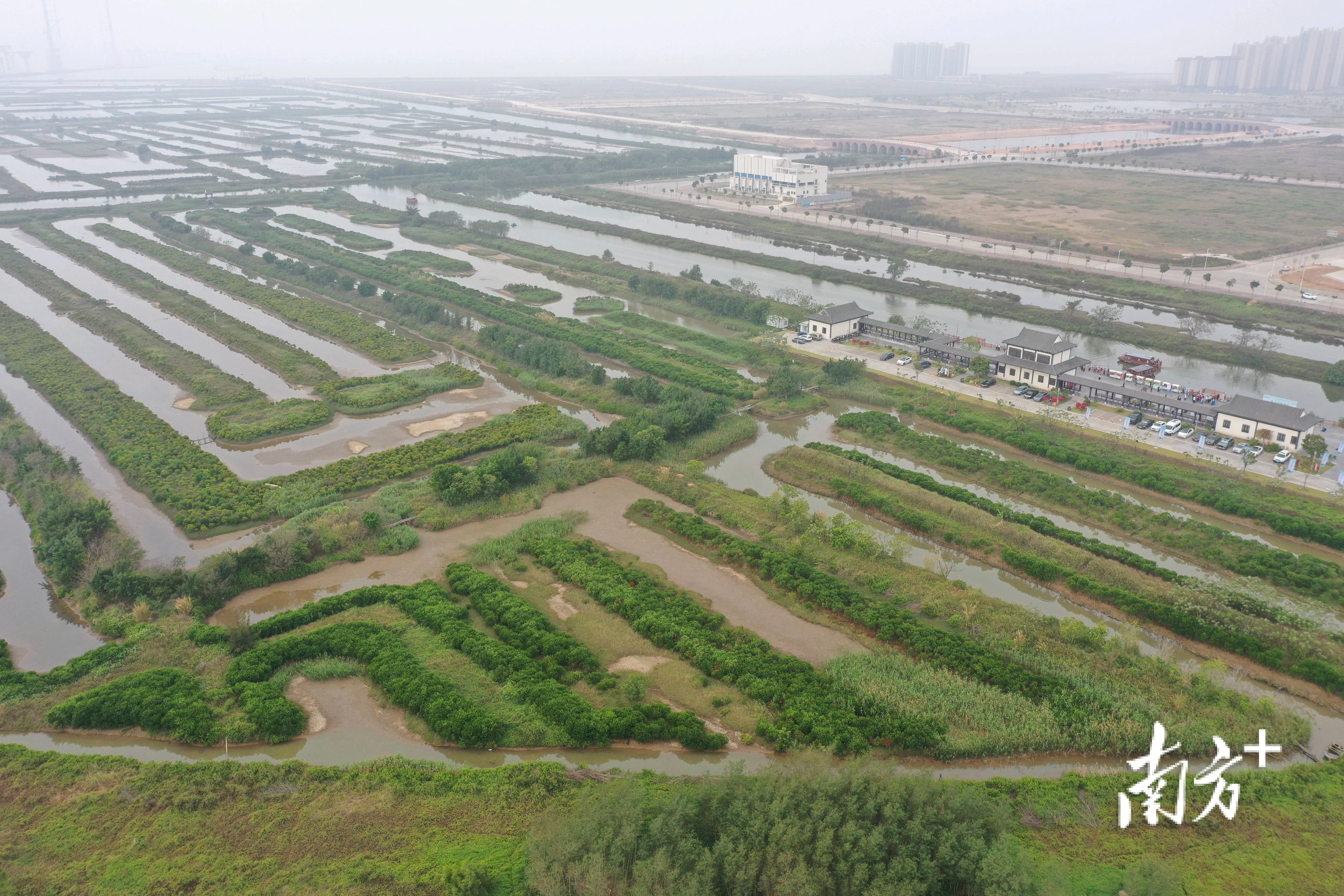 珠海平沙新城湿地公园图片