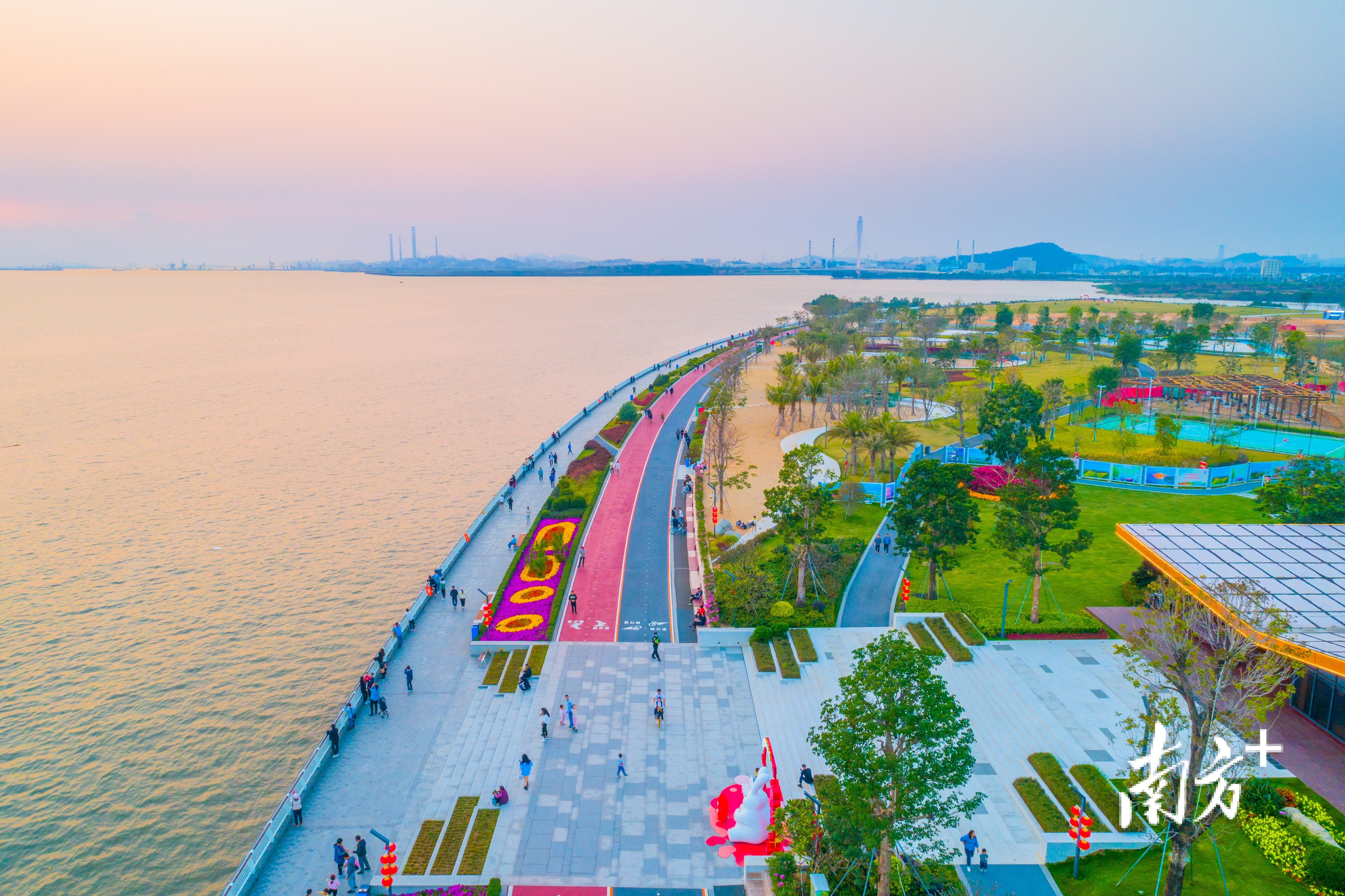 长安滨海湾花海公园图片