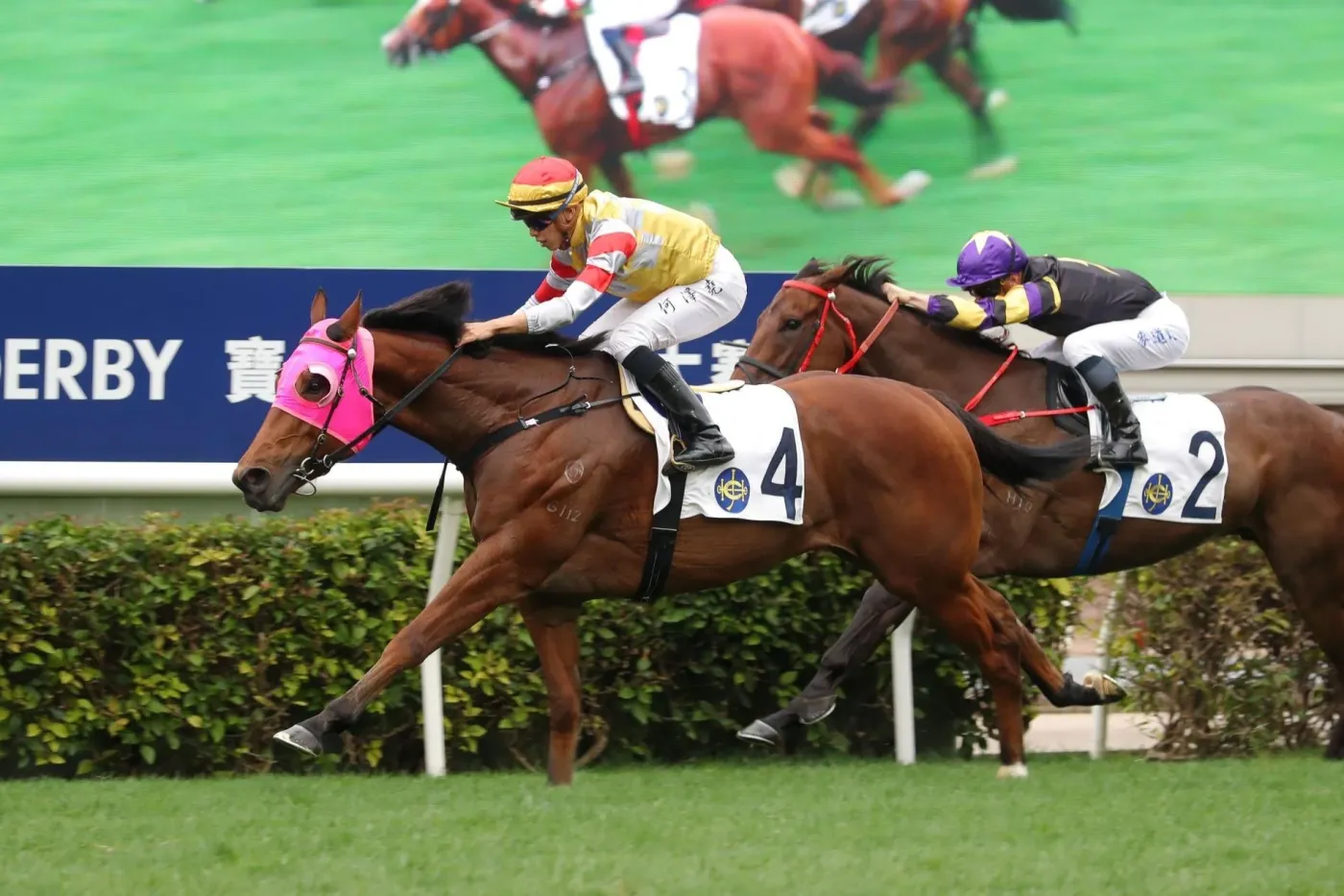 香港赛马“打吡”吸引超六万观众入场,首有华人骑师赢得500场头马-房产资讯-房天下